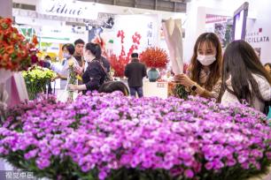 中国国际花卉园艺展览会在上海举行
