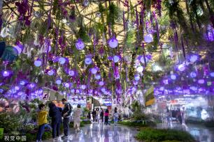 中国国际花卉园艺展览会在上海举行