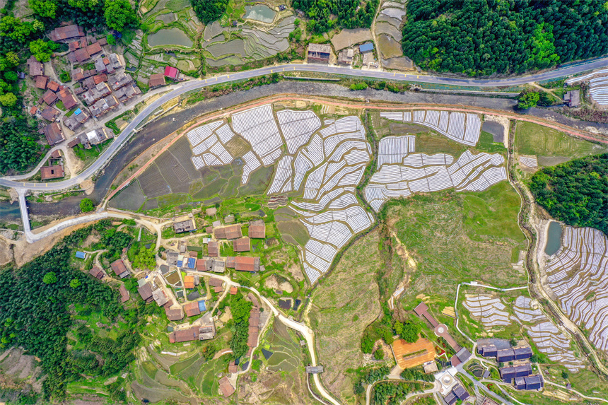 江西乐安：美丽乡村入画来