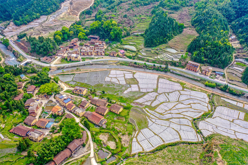 江西乐安：美丽乡村入画来