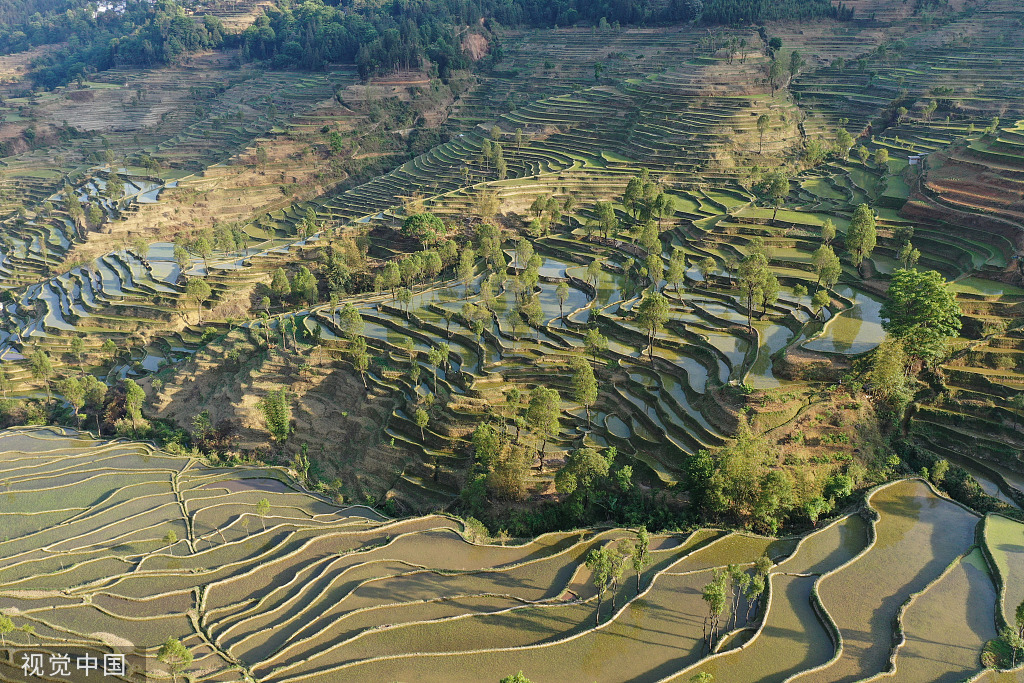 云南红河：哈尼梯田层层叠叠