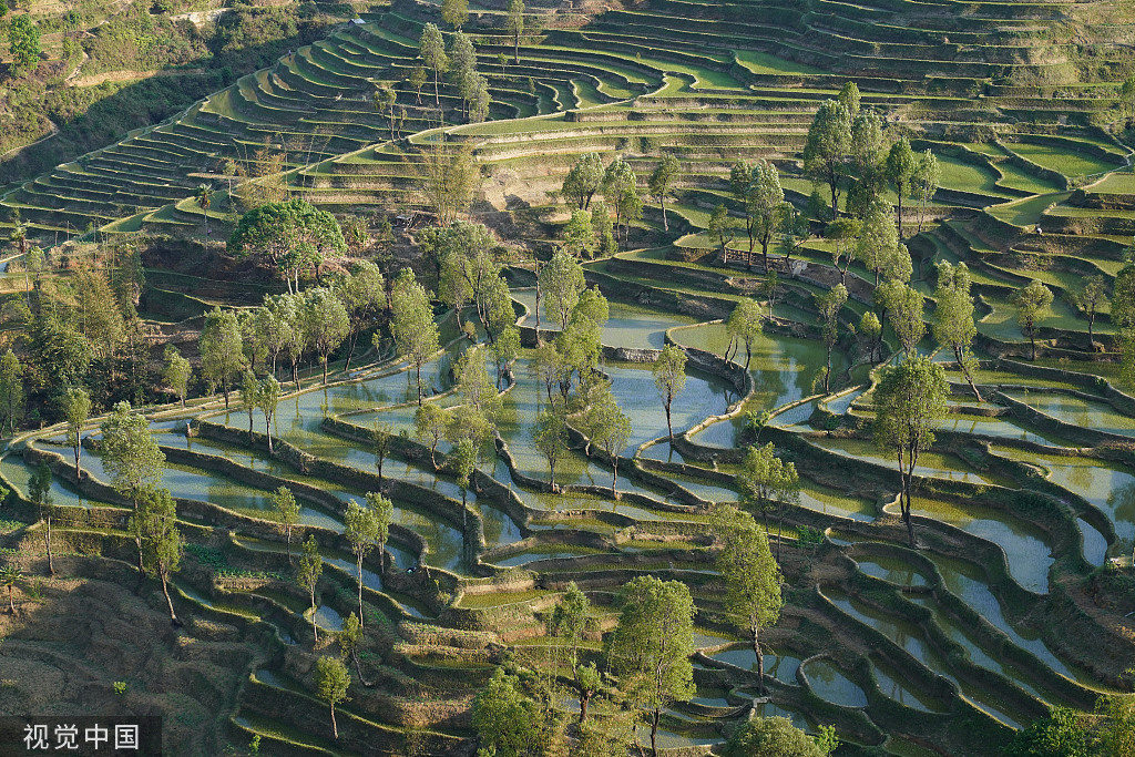 云南红河：哈尼梯田层层叠叠