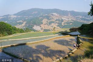 云南红河：哈尼梯田层层叠叠