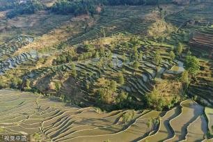 云南红河：哈尼梯田层层叠叠