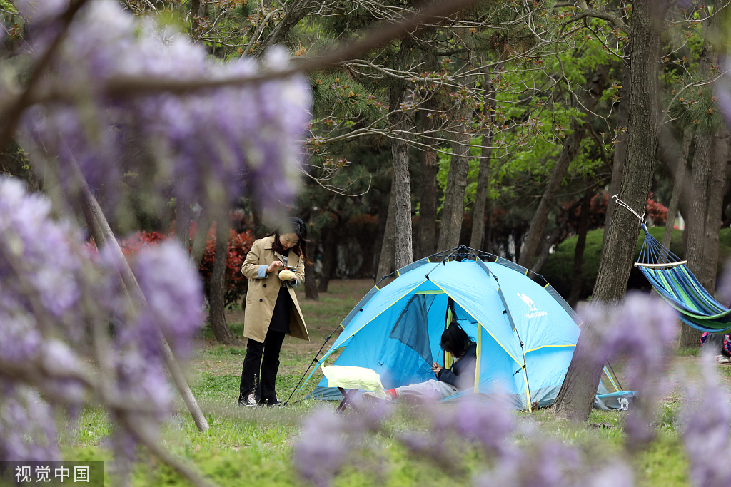 山东日照：周末露营公园内游客众多