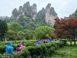 张家界森林公园4月23日起实行大流量应急管理措施
