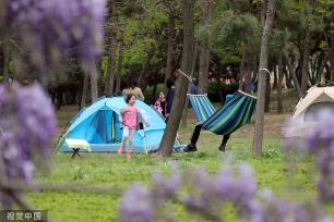 山东日照：周末露营公园内游客众多