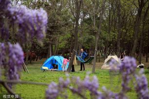 山东日照：周末露营公园内游客众多