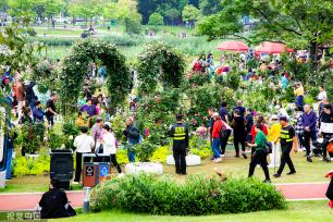 福建最大月季花展在福州举行