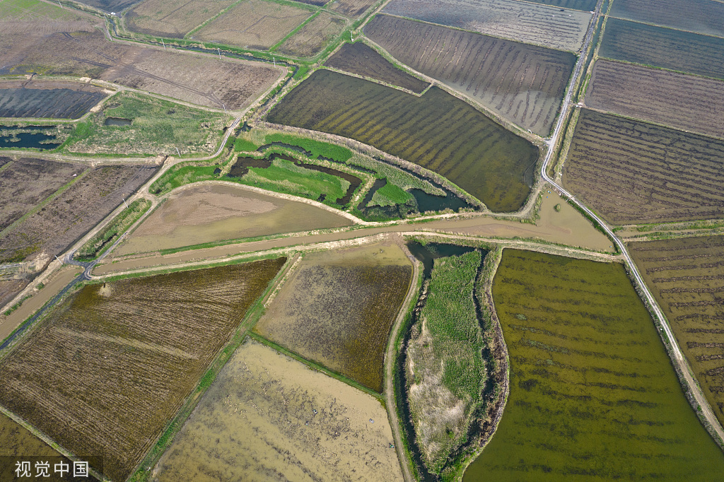 山西运城：黄河滩涂阡陌纵横 田地交错分布