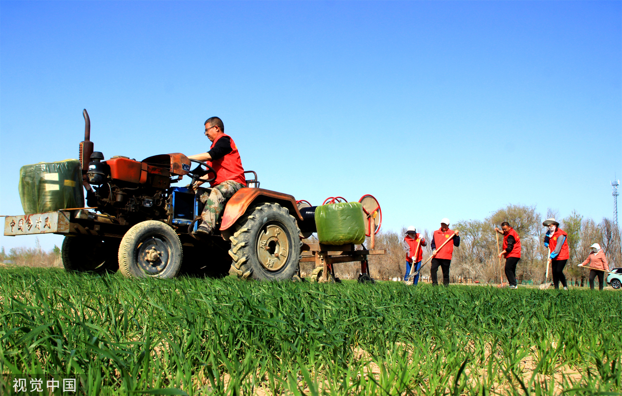 新疆塔城：党员志愿者帮助村民铺设节水滴灌带