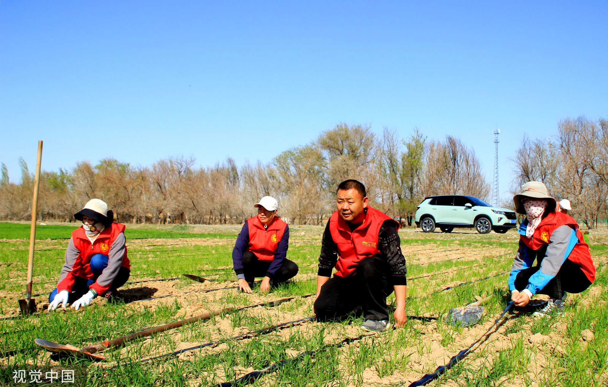 新疆塔城：党员志愿者帮助村民铺设节水滴灌带
