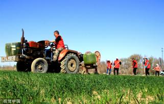新疆塔城：党员志愿者帮助村民铺设节水滴灌带