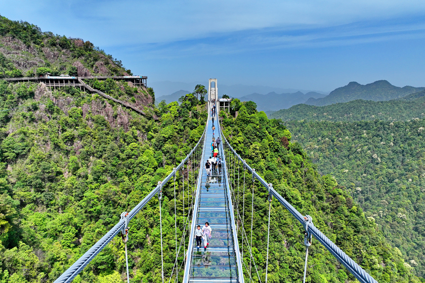 江西安远：森林成美景 资源变产业
