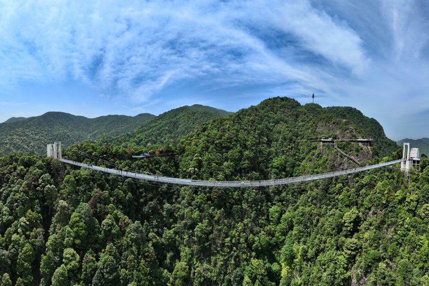 江西安远：森林成美景 资源变产业