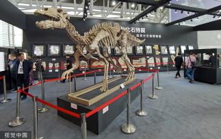 世界级菱锰矿“中国皇后”在南京参展