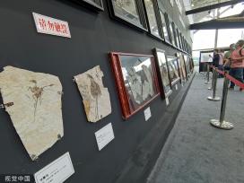 世界级菱锰矿“中国皇后”在南京参展