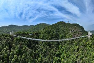 江西安远：森林成美景 资源变产业