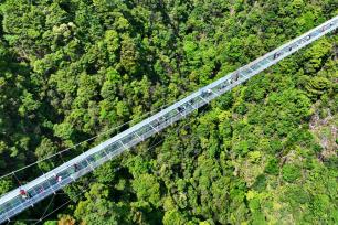 江西安远：森林成美景 资源变产业