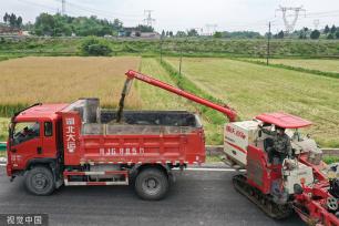 四川广安：农机手驾驶收割机采收油菜