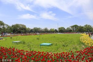 沈阳北陵公园举行花朝节 90万株花卉亮相