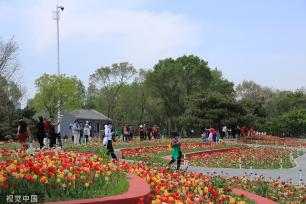 沈阳北陵公园举行花朝节 90万株花卉亮相