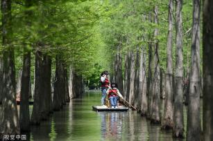 江苏宿迁：绿意环抱洪泽湖湿地景区