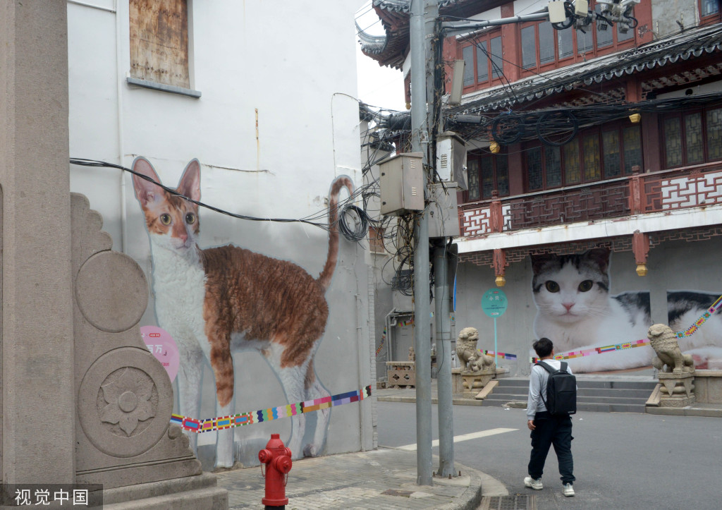 北京中医药大学东直门医院黄牛代挂号电话票贩子号贩子网上预约挂号,住院检查加快,上海“猫街”人气倍增 中外游客络绎不绝