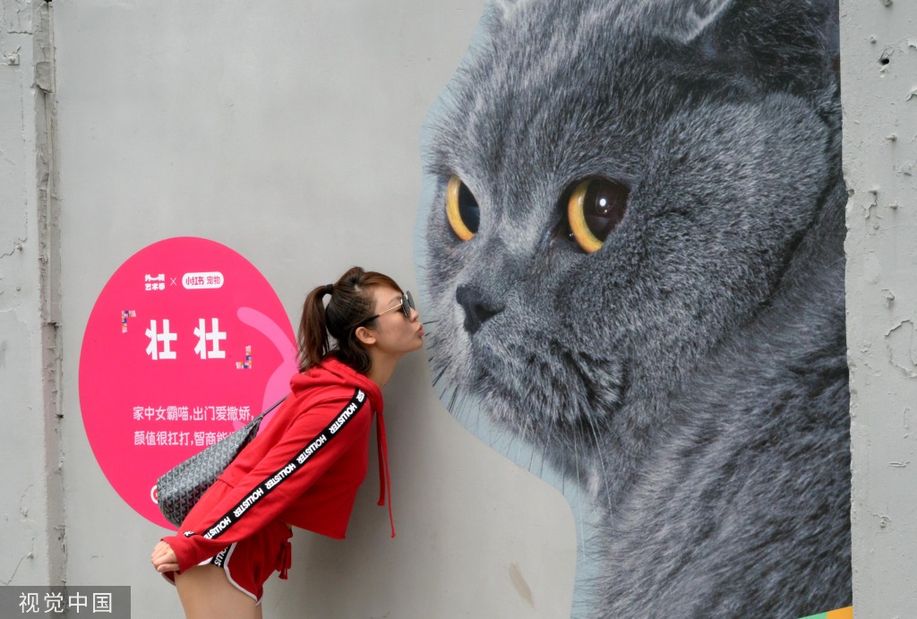 北京中医药大学东直门医院黄牛代挂号电话票贩子号贩子网上预约挂号,住院检查加快,上海“猫街”人气倍增 中外游客络绎不绝