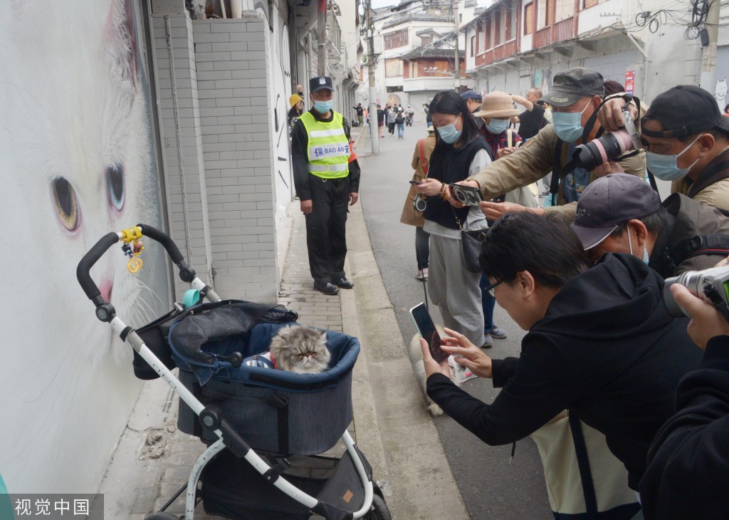 北京中医药大学东直门医院黄牛代挂号电话票贩子号贩子网上预约挂号,住院检查加快,上海“猫街”人气倍增 中外游客络绎不绝