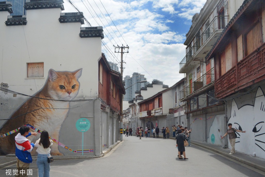 北京中医药大学东直门医院黄牛代挂号电话票贩子号贩子网上预约挂号,住院检查加快,上海“猫街”人气倍增 中外游客络绎不绝