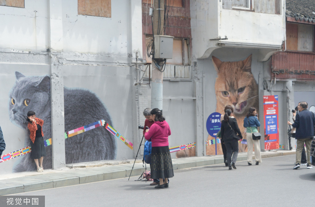 北京中医药大学东直门医院黄牛代挂号电话票贩子号贩子网上预约挂号,住院检查加快,上海“猫街”人气倍增 中外游客络绎不绝