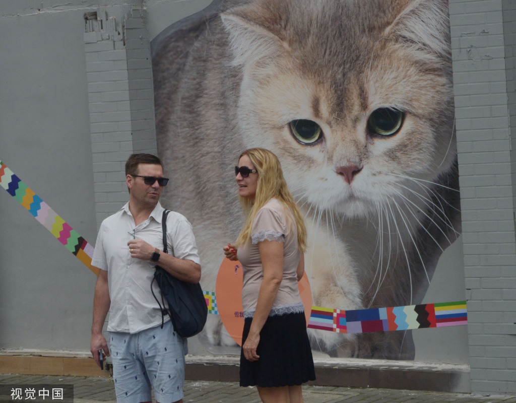 北京中医药大学东直门医院黄牛代挂号电话票贩子号贩子网上预约挂号,住院检查加快,上海“猫街”人气倍增 中外游客络绎不绝