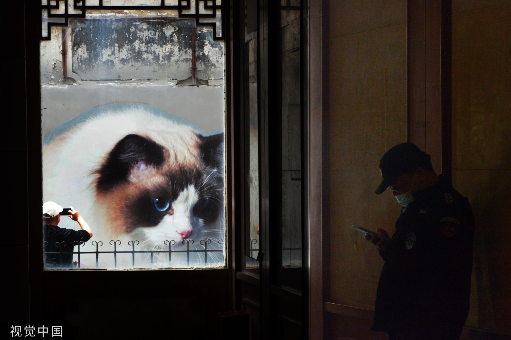 北京中医药大学东直门医院黄牛代挂号电话票贩子号贩子网上预约挂号,住院检查加快,上海“猫街”人气倍增 中外游客络绎不绝