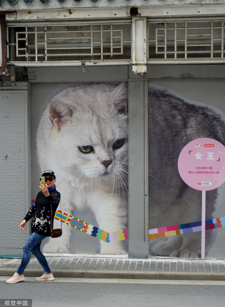 北京中医药大学东直门医院黄牛代挂号电话票贩子号贩子网上预约挂号,住院检查加快,上海“猫街”人气倍增 中外游客络绎不绝