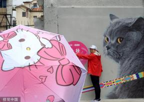 上海“猫街”人气倍增 中外游客络绎不绝