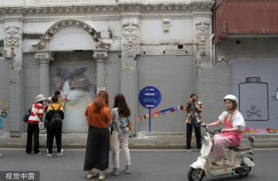 上海“猫街”人气倍增 中外游客络绎不绝