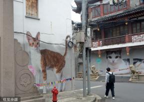 上海“猫街”人气倍增 中外游客络绎不绝
