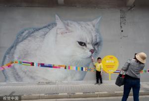 上海“猫街”人气倍增 中外游客络绎不绝