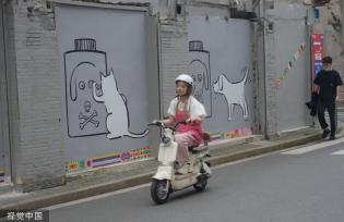 上海“猫街”人气倍增 中外游客络绎不绝