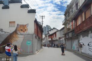 上海“猫街”人气倍增 中外游客络绎不绝