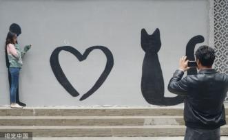 上海“猫街”人气倍增 中外游客络绎不绝