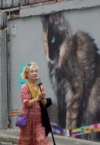 上海“猫街”人气倍增 中外游客络绎不绝