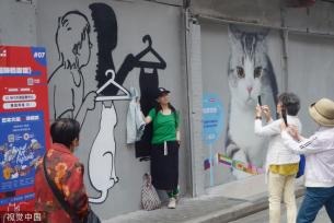 上海“猫街”人气倍增 中外游客络绎不绝