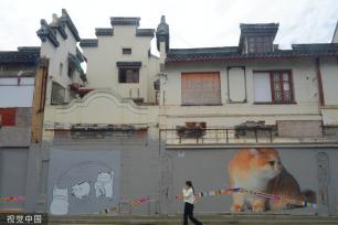 上海“猫街”人气倍增 中外游客络绎不绝