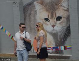 上海“猫街”人气倍增 中外游客络绎不绝