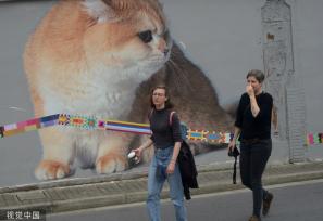 上海“猫街”人气倍增 中外游客络绎不绝