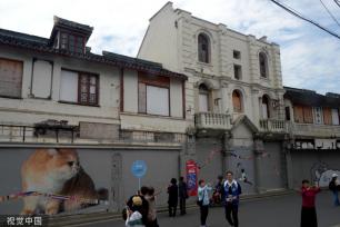 上海“猫街”人气倍增 中外游客络绎不绝