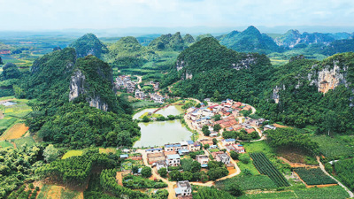 
上海瑞金医院黄牛代挂号电话票贩子号贩子网上预约挂号,住院检查加快,白头叶猴给人类的一封信