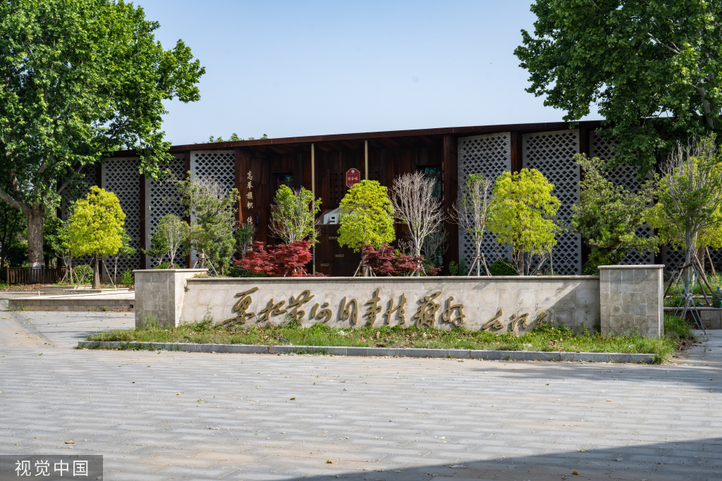 河南开封：黄河湾风景区农田葱绿